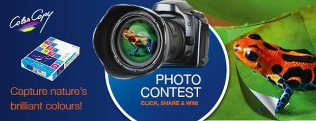 Papyrus - Met Color Copy naar Zuid-Afrika